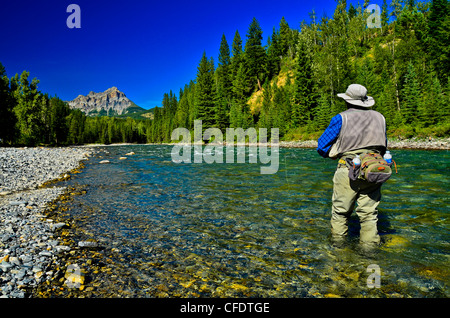 Fliegenfischen Sie auf den Stier River, British Columbia, Kanada Stockfoto