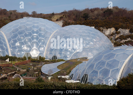 Biome im Eden Project, St. Austell, Cornwall, England, Vereinigtes Königreich, Europa Stockfoto