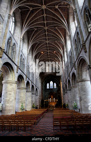 Kirchenschiff, Hereford Kathedrale, Hereford, Herefordshire, England, Vereinigtes Königreich, Europa Stockfoto