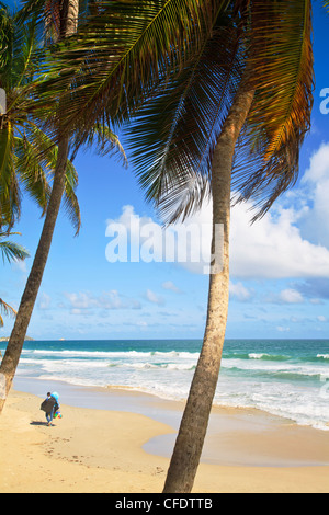 Playa El Agua, Isla De Margarita (Isla Margarita), Nueva Esparta, Venezuela, Südamerika Stockfoto