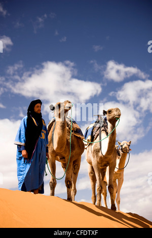 Berber Mann in blauem Gewand mit Kamelen auf dem Grat einer Sanddüne im Erg Chebbi Sand Meer in der Nähe von Merzouga, Marokko Stockfoto