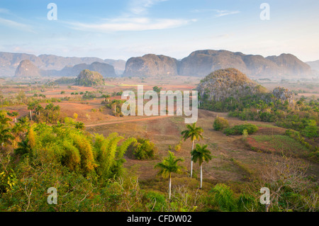 Am frühen Morgen Blick über das Vinales-Tal, von Hotel Los Jasmines Vinales, Pinar del Rio, Kuba, West Indies Stockfoto