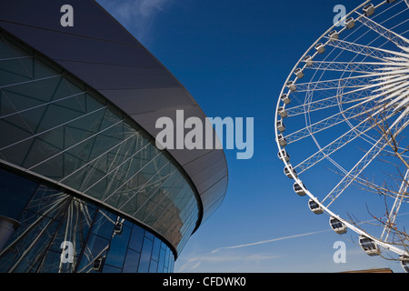 Das große Rad außerhalb der Echo Arena und Convention Centre, Liverpool, Merseyside, England, Vereinigtes Königreich, Europa Stockfoto