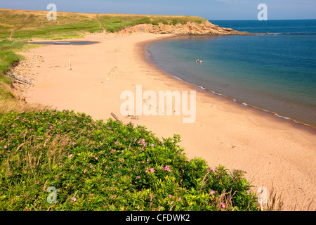 Whale Cove Beach, Cape Breton, Nova Scotia, Kanada Stockfoto