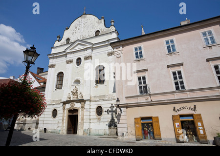 Franziskanerkirche, Altstadt, Bratislava, Slowakei, Europa Stockfoto