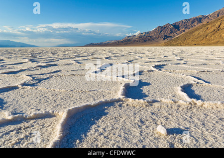 Salzpfanne Polygone an Badwater Basin, Death Valley Nationalpark, Kalifornien, USA Stockfoto