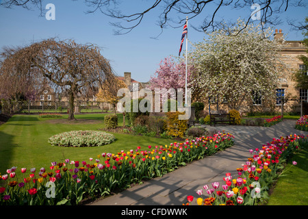 Massen von bunten Frühling Tulpen in der Badewanne Gärten, Bakewell, Derbyshire, Peak District National Park, England, UK Stockfoto
