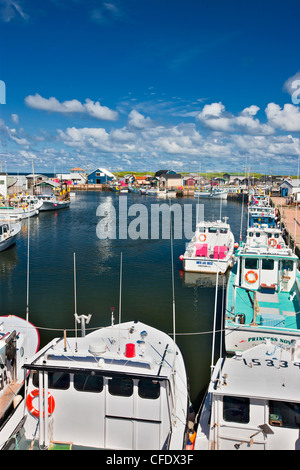 Angelboote/Fischerboote gefesselt im North Lake Harbour, Prince Edward Island, Canada Stockfoto