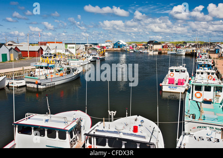 Angelboote/Fischerboote gefesselt im North Lake Harbour, Prince Edward Island, Canada Stockfoto