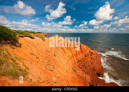 Sandstein-Klippen, Cape Bear, Prince-Edward-Insel, Kanada Stockfoto