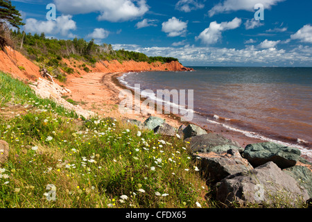 Sandstein-Klippen, Cape Bear, Prince-Edward-Insel, Kanada Stockfoto