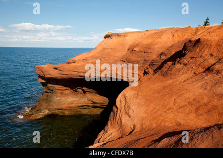 Sandsteinfelsen, Seacow Kopf, Prince Edward Island, Canada Stockfoto
