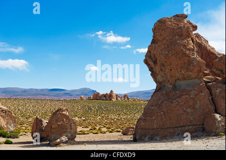 Felsformationen in der Altiplano-Wüste, Bolivien, Südamerika Stockfoto