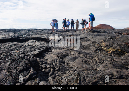 Touristen gehen auf Lavastrom auf Isla Santiago, Sullivan Bay, Galapagos-Inseln, UNESCO-Weltkulturerbe, Ecuador Stockfoto