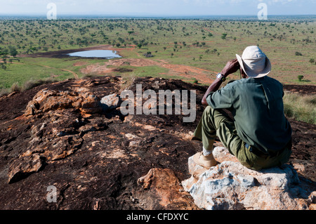 Lualenyi Game Reserve in der Nähe von Tsavo National Park, Kenia, Ostafrika, Afrika Stockfoto