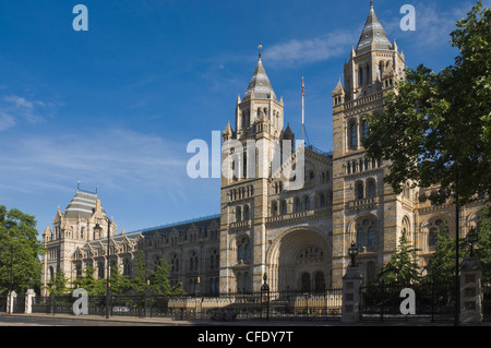 Das Natural History Museum, London, England, Vereinigtes Königreich, Europa Stockfoto