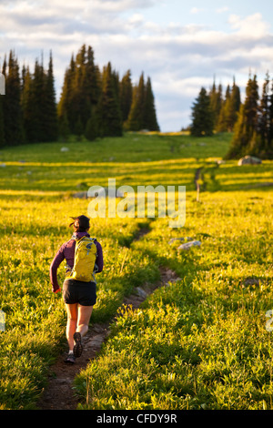 schöne junge Asiatin trailrunning Stockfoto