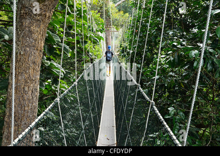 Canopy walk, Taman Negara Nationalpark, Pahang, Malaysia, Südostasien, Asien Stockfoto