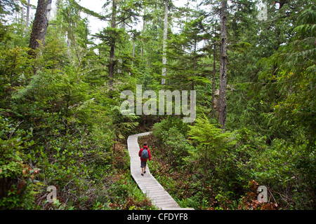 Ein Mann mittleren Alters Wanderungen zu Hot Springs Cove, Maquinna Provincial Park, Tofino, Britisch-Kolumbien, Kanada Stockfoto