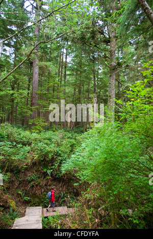 Ein Mann mittleren Alters Wanderungen zu Hot Springs Cove, Maquinna Provincial Park, Tofino, Britisch-Kolumbien, Kanada Stockfoto