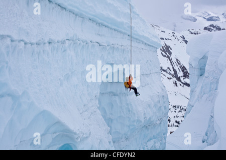 Ein Mann Gletscherspalte Rettung üben während auf einen Skikurs für Bergsteigen, Eis fallen Lodge, Golden, British Columbia, Kanada Stockfoto