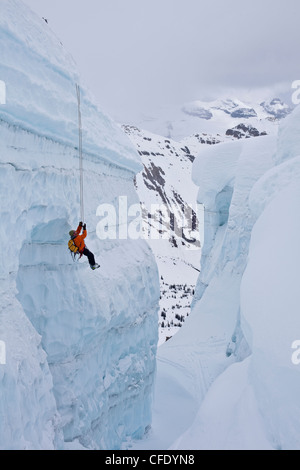Ein Mann Gletscherspalte Rettung üben während auf einen Skikurs für Bergsteigen, Eis fallen Lodge, Golden, British Columbia, Kanada Stockfoto