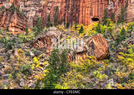 Canyon Junction, Zion Nationalpark, Utah, USA Stockfoto