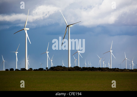 Windkraftanlagen, Albacete, Castilla-La Mancha, Spanien, Europa Stockfoto