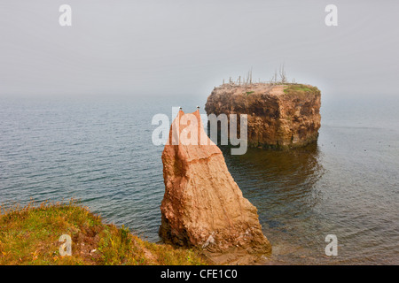 Pokeshaw Provincial Park, Chaleur Bay, New Brunswick, Kanada Stockfoto