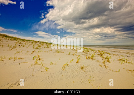 Sturm über Sanddünen, Island Beach State Park, New Jersey, Vereinigte Staaten von Amerika übergesiedelt Stockfoto