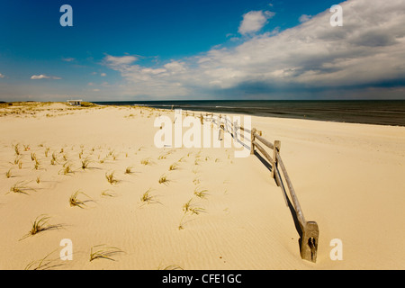 Island Beach State Park, New Jersey, Vereinigte Staaten von Amerika Stockfoto