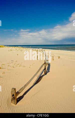 Island Beach State Park, New Jersey, Vereinigte Staaten von Amerika Stockfoto