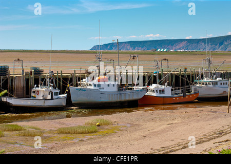 Angelboote/Fischerboote bei Ebbe, Advocate Harbour Bay Of Fundy, Nova Scotia, Kanada Stockfoto