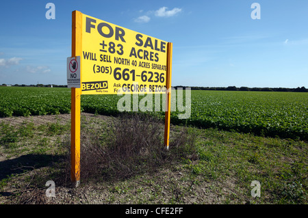 Ackerland zu verkaufen, Florida City, Florida Stockfoto