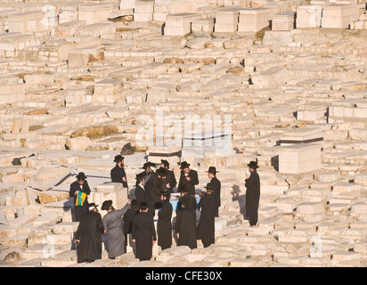 Ultra-orthodoxen Juden beten auf dem Friedhof auf dem Ölberg in Jerusalem Israel Stockfoto