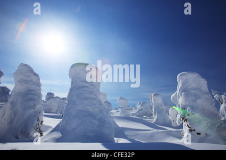 Schnee-Monster am Mount Zao, Yamagata Tohoku Japan Stockfoto