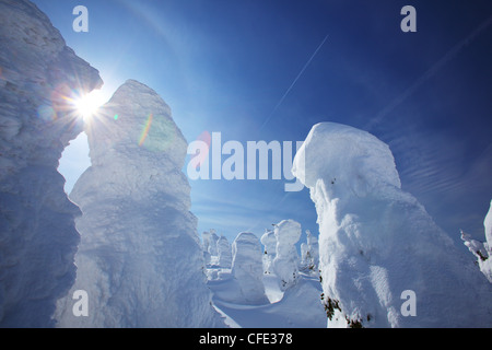 Schnee-Monster am Mount Zao, Yamagata Tohoku Japan Stockfoto