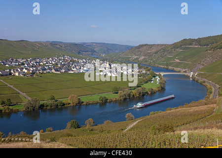 Mosel eine der Weinort Trittenheim, Rheinland-Pfalz, Deutschland, Europa Stockfoto