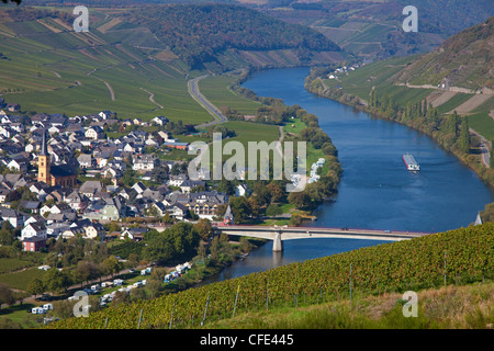 Mosel eine der Weinort Trittenheim, Rheinland-Pfalz, Deutschland, Europa Stockfoto