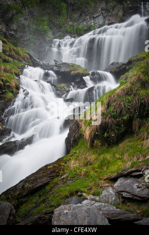 Wasserfall im tiefen Wald von Valle d ' Aosta, Italien. Stockfoto