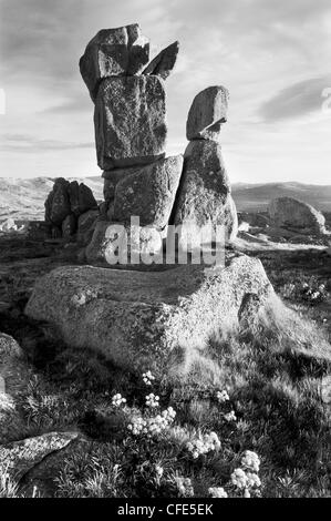 Granit-ren auf die Rams Head Bereich, Kosciuszko-Nationalpark, New South Wales, Australien. Stockfoto