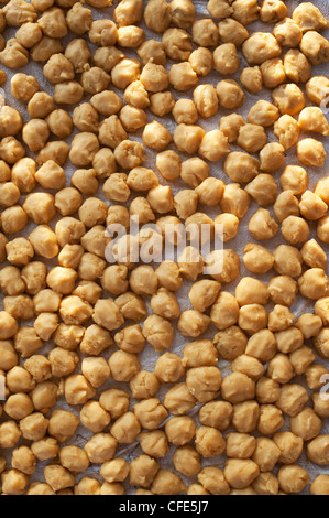 Jaggery Produktion im ländlichen Süden indischen Landschaft. Andhra Pradesh, Indien. Kugeln aus Jaggery gerollt Kühlung Stockfoto