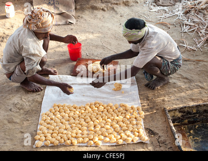 Jaggery Produktion im ländlichen Süden indischen Landschaft. Rollende unraffinierten Rohrzucker. Andhra Pradesh, Indien Stockfoto