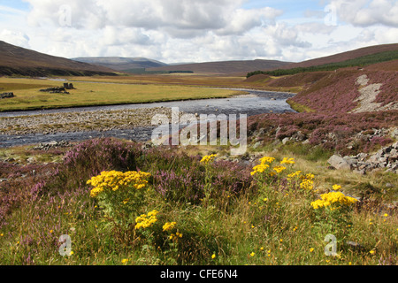 Bereich von Braemar, Schottland. Blick auf den Fluss Dee Blick nach Westen von der Linn of Dee Brückenbereich. Stockfoto