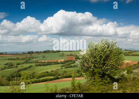 UK, Gloucestershire, Stroud, Painswick Tal Stockfoto