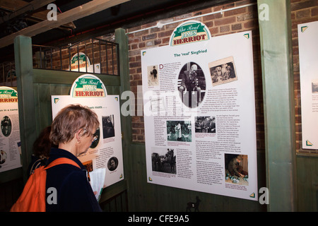 Großbritannien, England, Yorkshire, Thirsk, Kirkgate, James Herriots Chirurgie, Besucher Blick auf Ausstellung in alten Ställen Stockfoto