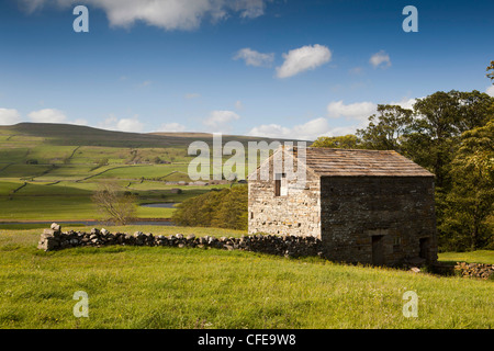 Großbritannien, England, Yorkshire, Wensleydale, traditionelle Dales Steinfeld Scheune in Ackerland Stockfoto