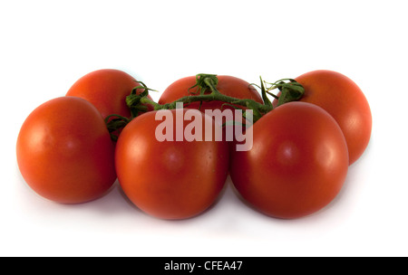 sechs frische rote Tomaten, isoliert auf weiss Stockfoto