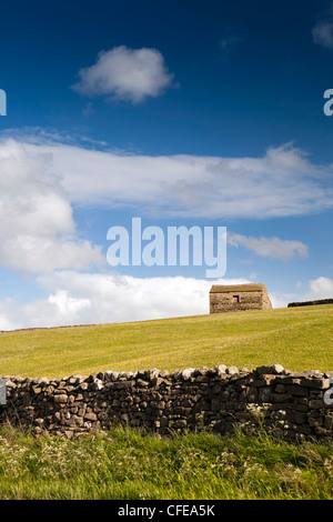 Großbritannien, England, Yorkshire, Wensleydale, steinigen Feld Scheune auf Bergrücken oberhalb landwirtschaftliche Weideland Stockfoto