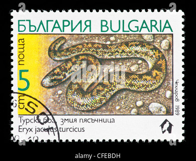 Briefmarke aus Bulgarien Darstellung eine Javelin Sand Boa (Eryx Jaculus Turcicus) Stockfoto